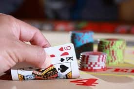 wg6 bet