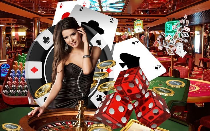 wg6 bet