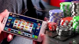 wg6 bet