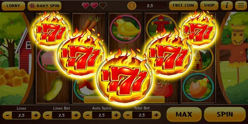 wg6 bet